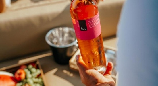 DestinaKopija datoteke desto 72dpi-17  velika